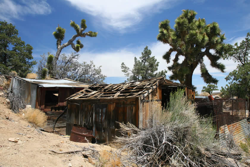 But wait, there's more!  Near the old cabin are a couple of outbuildings and associated chicken coop area.