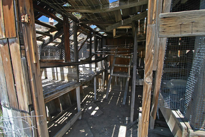 This coop structure seems in pretty good shape and we wonder if McClure might not have fixed it up and used it when he built his cabin nearby in the 1970's.