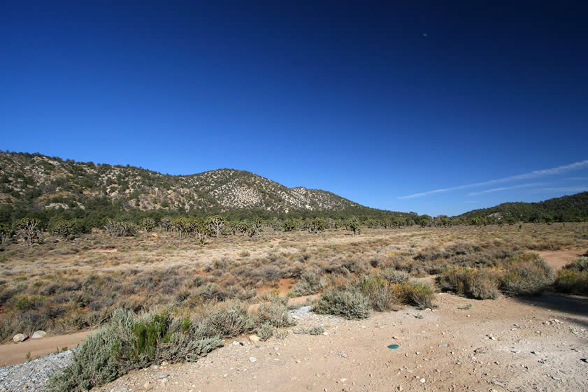 On our way to the Bat Cave we notice that the vegetation is an unusual mix of pines and Joshua trees.  The elevation here is over 6,000 feet and it's uncommon to find Joshua trees so high in the mountains.