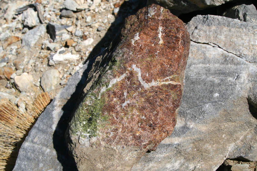 The tailings pile produces some nice specimens, though.  Here's a rock with some bright green epidote and garnets.
