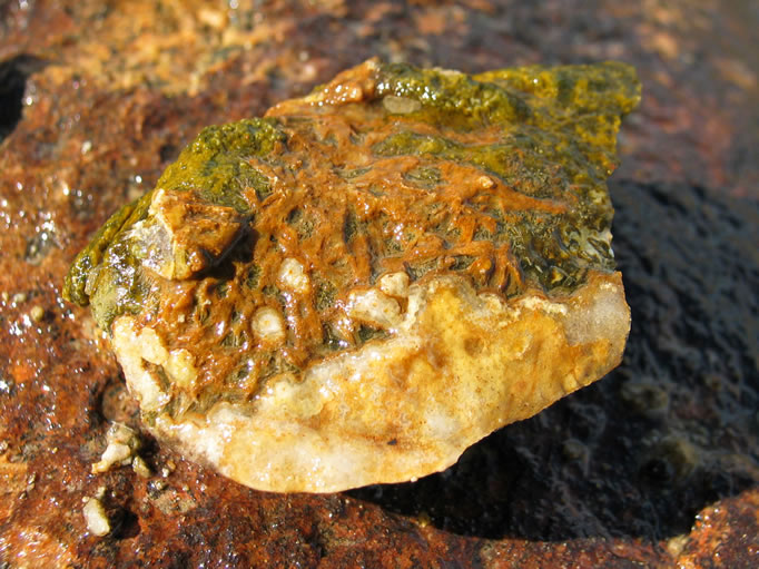 As we explore further afield, we come across rocks bearing the needle-like structure typical of sagenite.