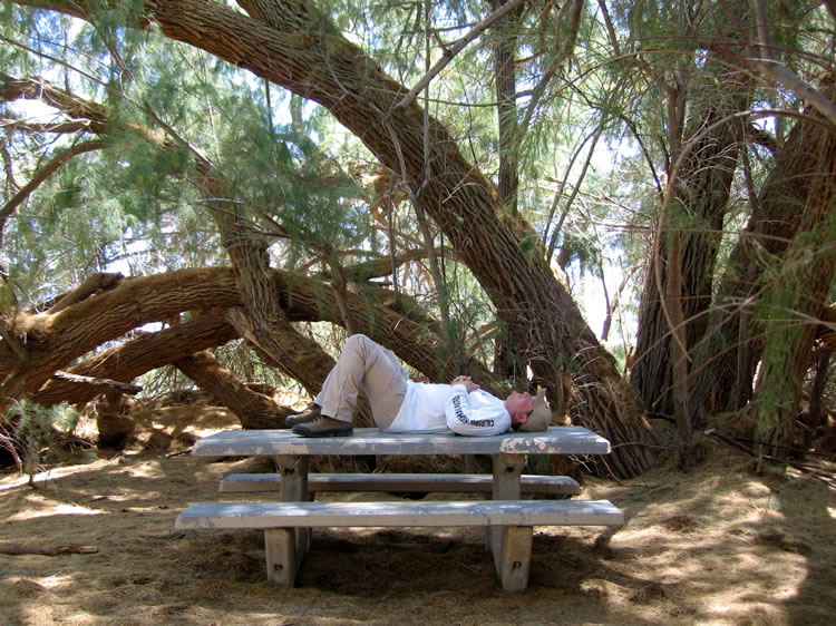 Under the canopy from the trees it's quite pleasant, as Dan demonstrates!