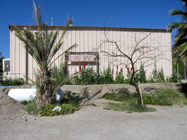 Here we are, China Ranch.  Even the pterodactyl sized horse flies couldn't dampen our enthusiasm as we worked our way through those delicious ice cold shakes.
