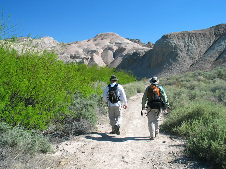 Cooled down by our rapid date shake consumption, we're off again to find the 1903 stone structure down near Acme on the old Tonopah & Tidewater Railroad.