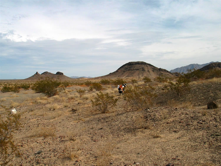 We do a little shallow trenching with our rock hammers at a likely looking spot.