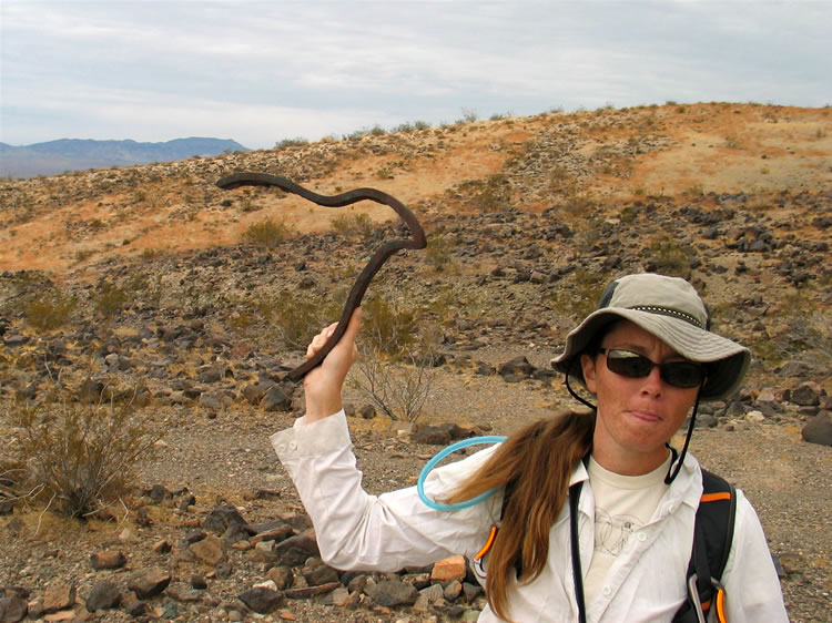 This turned out to be a total flop as a boomerang.