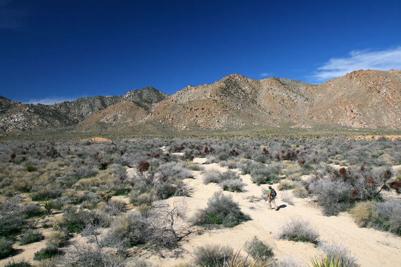 In spite of the sandy footing, the hiking is easy and we're making good time.