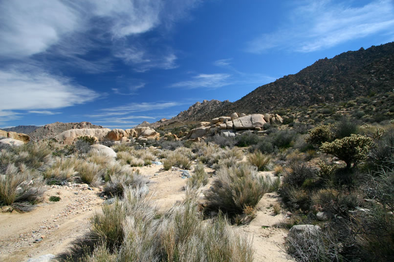 Here's a view looking back at the boulder jumble from further up the trail.  From this point we leave the wash and head cross country to the mine.  This isn't the most direct route but we just love exploring.