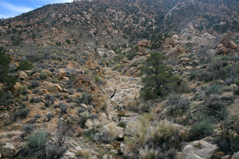 You can see the stream pretty clearly in the center of this photo.