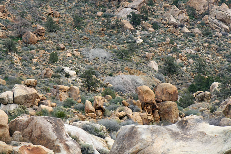 Here's a closer look courtesy of our telephoto lens.