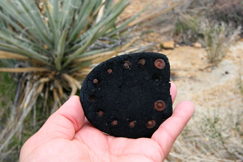 A boot heel.