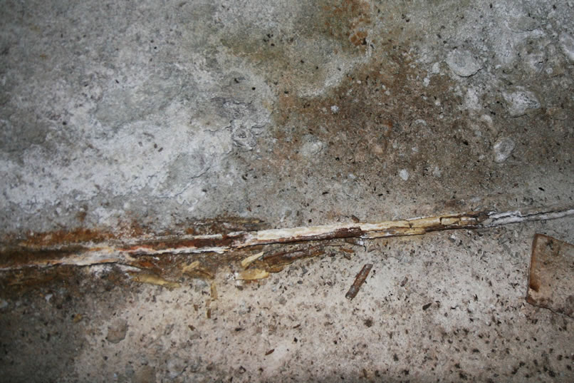 The iron pipe that has been running along the floor of the tunnel is now totally corroded.  Possibly that eye wash cup that we found earlier saw a lot of use to soothe the dust filled eyes of the miners.