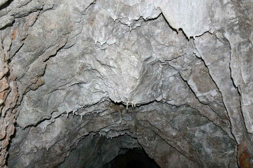 The dripping water has created an upside down forest of stalactites.