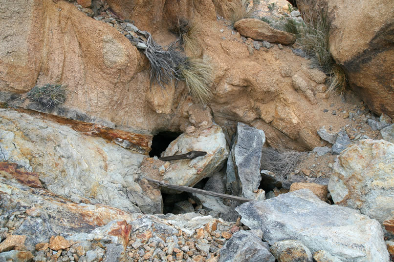 Niki finds one last prospect pit that shows only minor work and has since been filled in by falling rock.