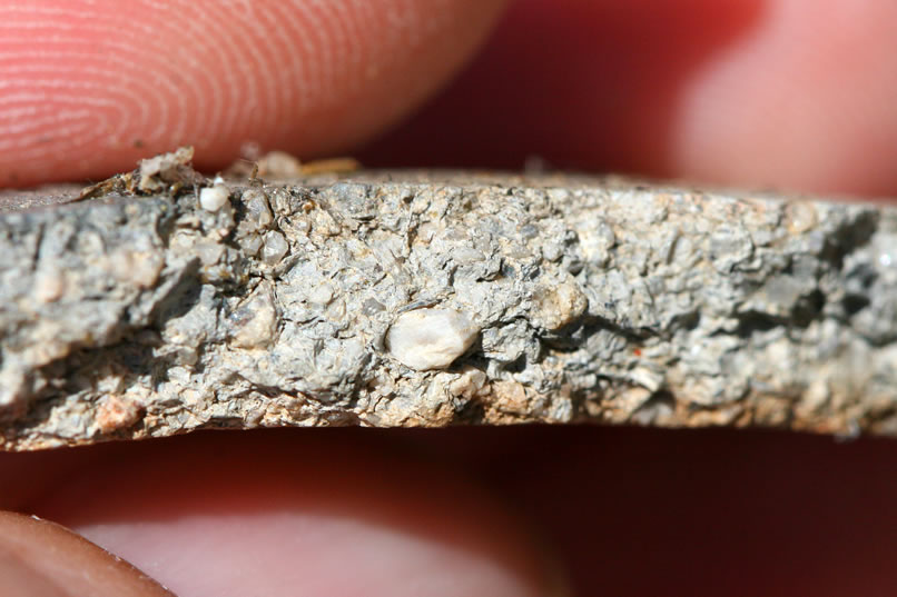 A close look at the edge of the pottery fragment in the last photo.