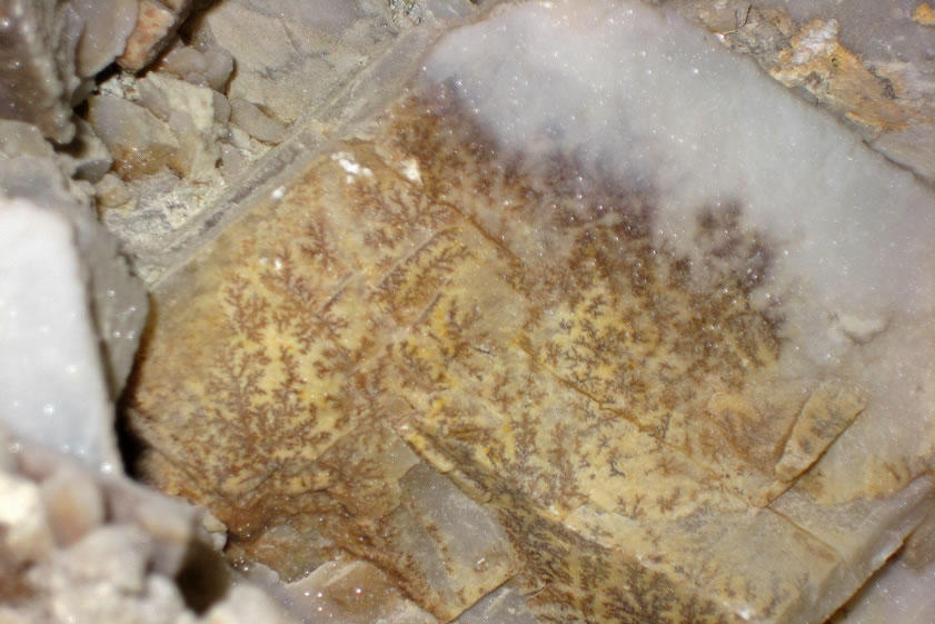 The branching fern-like structures on the rock are referred to as dendrites.