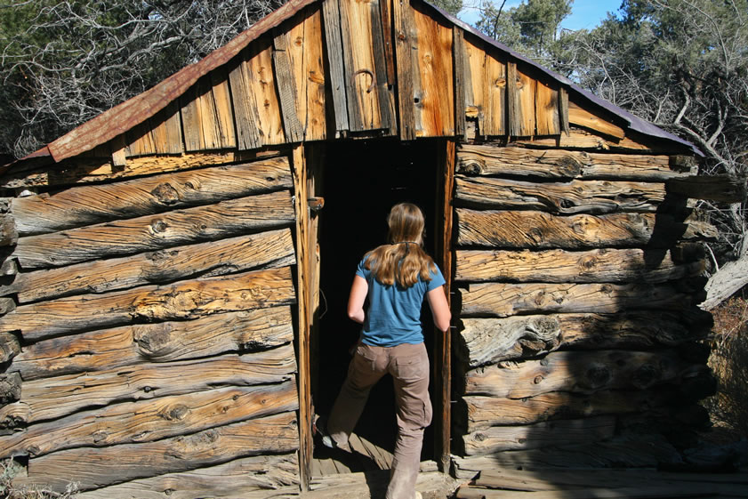 The building material for the one room cabin is native pinyon pine logs that have been squared on three sides for a snug fit.