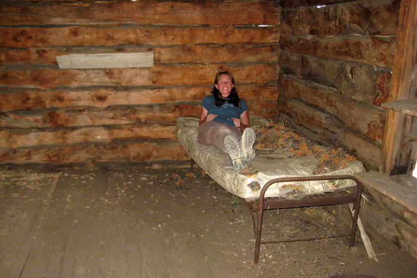 Niki tries out the bed, and probably crushes a couple of packrats in the process!