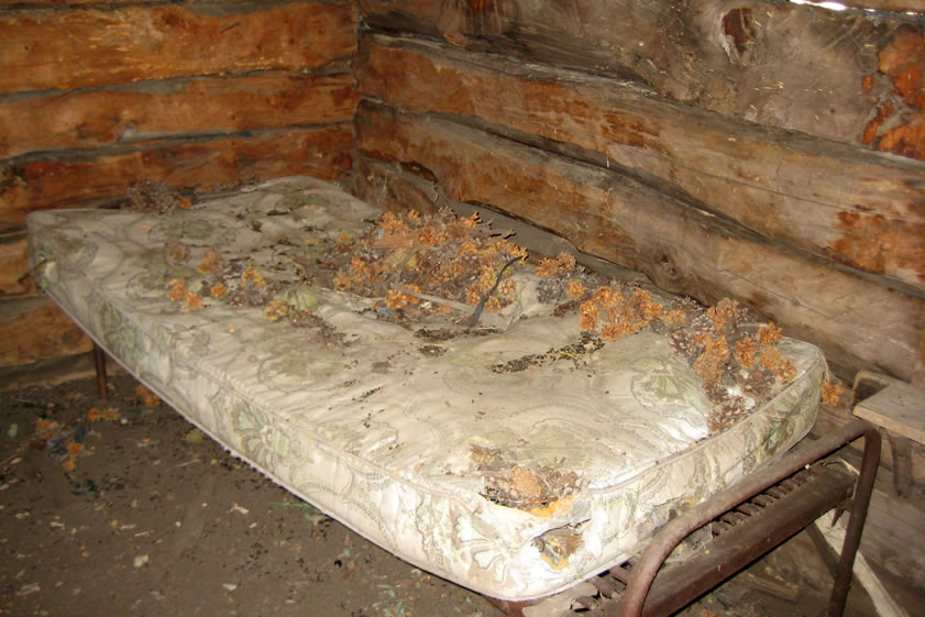 That mattress is really nasty!