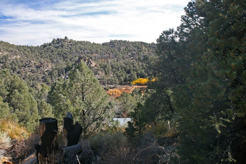 From the spring site you can just see the cabin roof below and the meadow beyond.