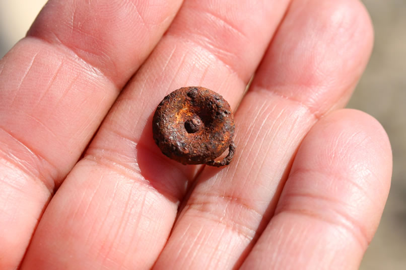 She finds an interesting small metal button.