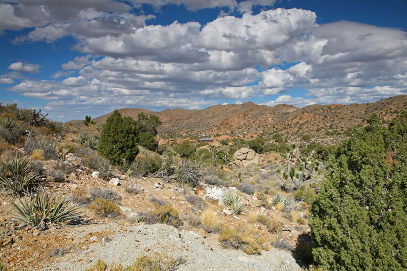 There are several prospect pits up here as well as some great views back toward the house.