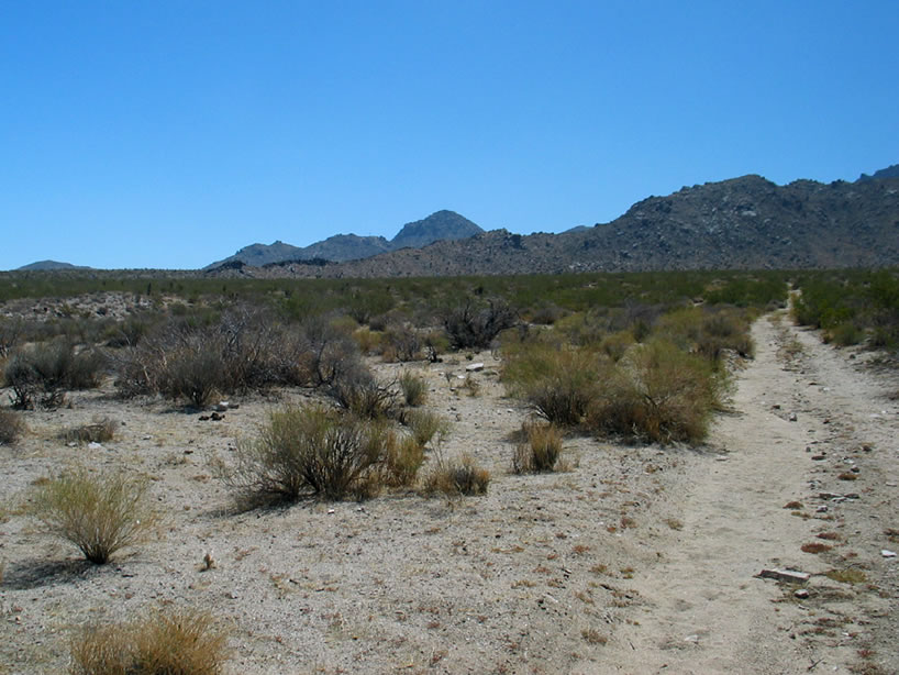 Well, time to hit the road again.  We're looking for a rock house that marks the main camp for the mines of the Blue Bugle Group.