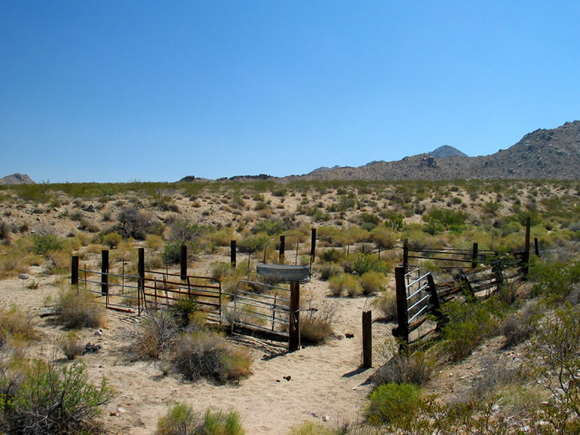 Along the way we come to a holding pen for range cattle.