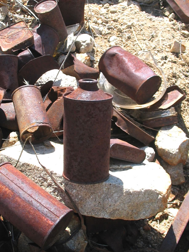 In a nearby wash Niki finds one of many cone top beer cans.