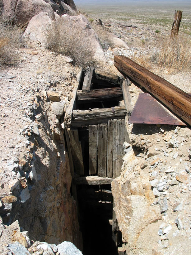 The main shaft.