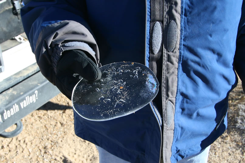 As if we needed it, Alysia gives us some visual evidence of how cold it was by holding up a sheet of frozen water that had been left in the bottom of a pot last night.