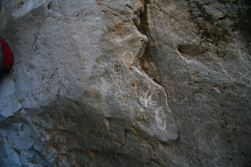Just to the left of the previous panel is another nice petro.