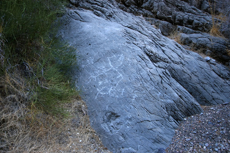 There are some faint bighorn petros here as well as some other designs.