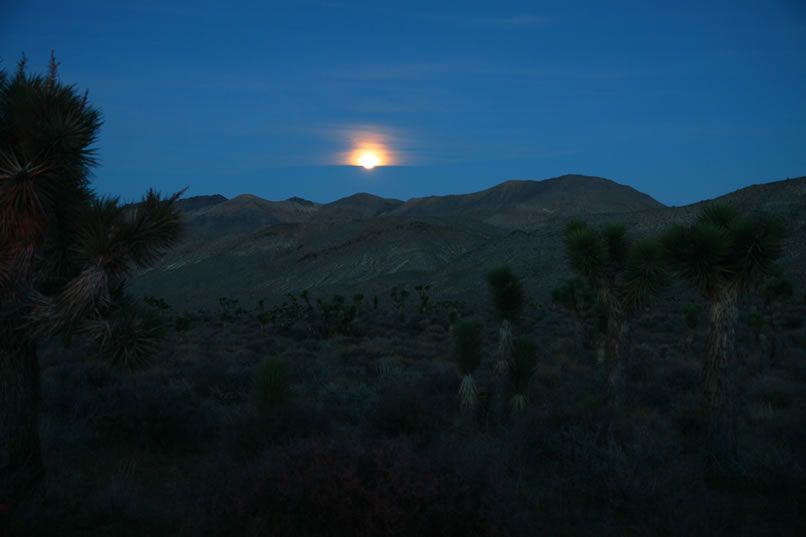 Finally, as we approach the lower slopes of Hunter Mountain, it gets even better.  With the heater going full blast and the promise of a good dinner at Panamint Springs we continue on into the night.  It's been quite a day.  We hope you enjoyed getting to see this remarkable rock art location.  See you next time!