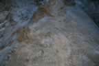 068.jpg (115kb)