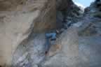 079.jpg (111kb)